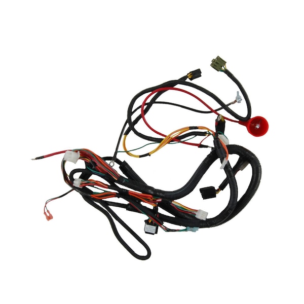 Harness-Main M-Pt